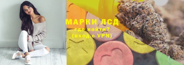 ГАЛЛЮЦИНОГЕННЫЕ ГРИБЫ Няндома