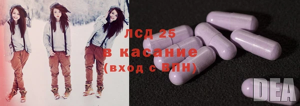 ГАЛЛЮЦИНОГЕННЫЕ ГРИБЫ Няндома