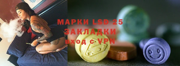 ГАЛЛЮЦИНОГЕННЫЕ ГРИБЫ Няндома