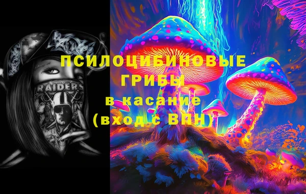 ГАЛЛЮЦИНОГЕННЫЕ ГРИБЫ Няндома